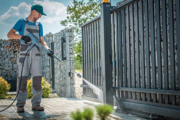 Best Graffiti Removal  in Omao, HI