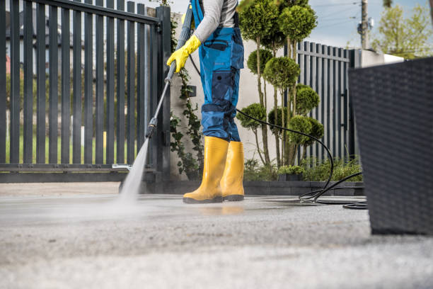 Best Patio and Deck Pressure Washing  in Omao, HI